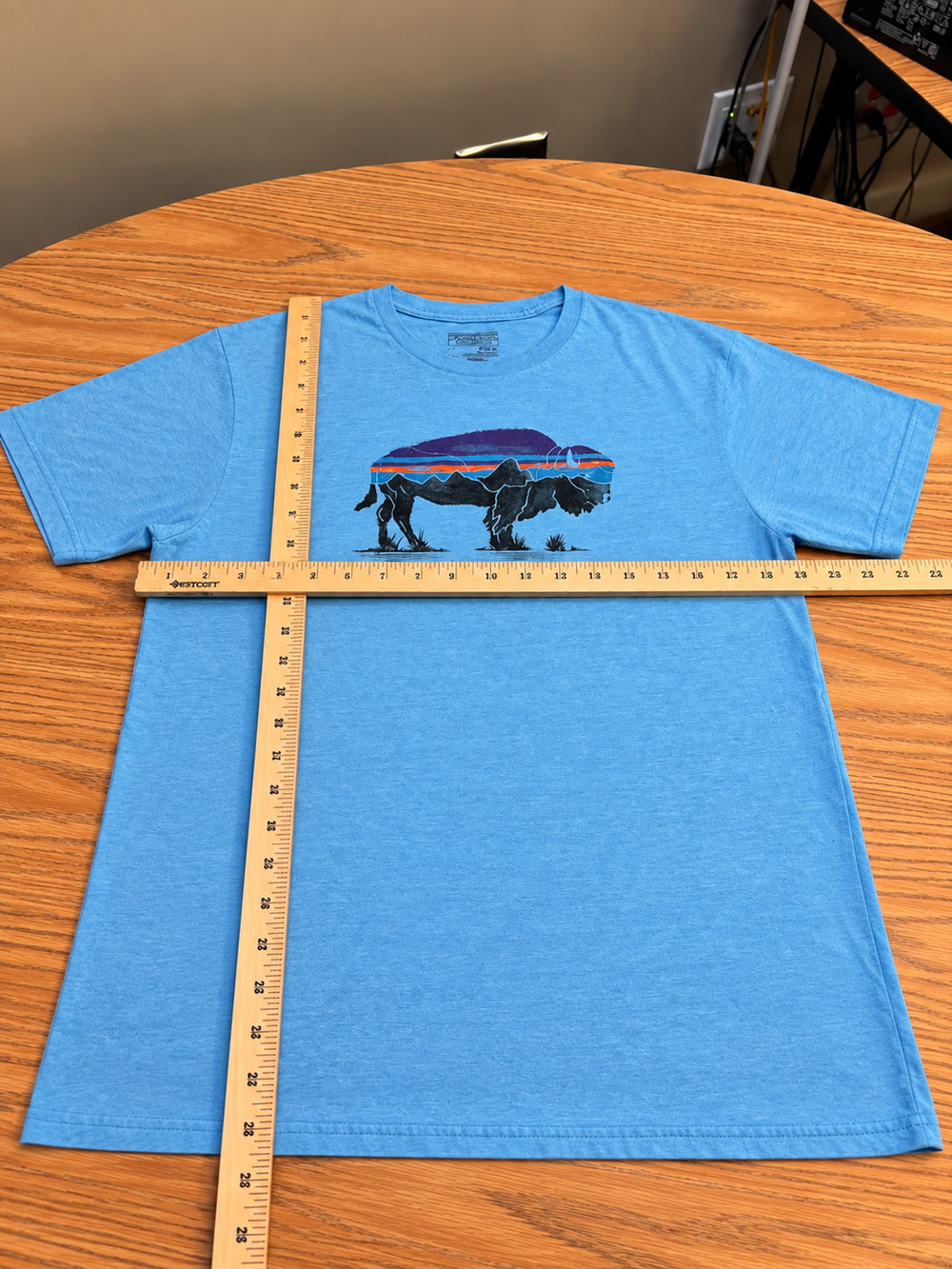 Patagonia Men’s Medium Slim Fit T-Shirt Blue Buffalo Bison Graphic Tee